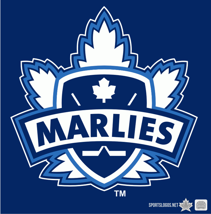 Toronto Marlies 2005 06-Pres Alternate Logo iron on heat transfer...